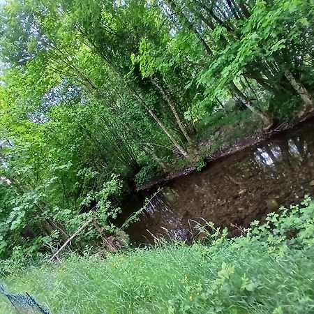 Gite De L'Ours Saint-Maurice-sur-Moselle Luaran gambar