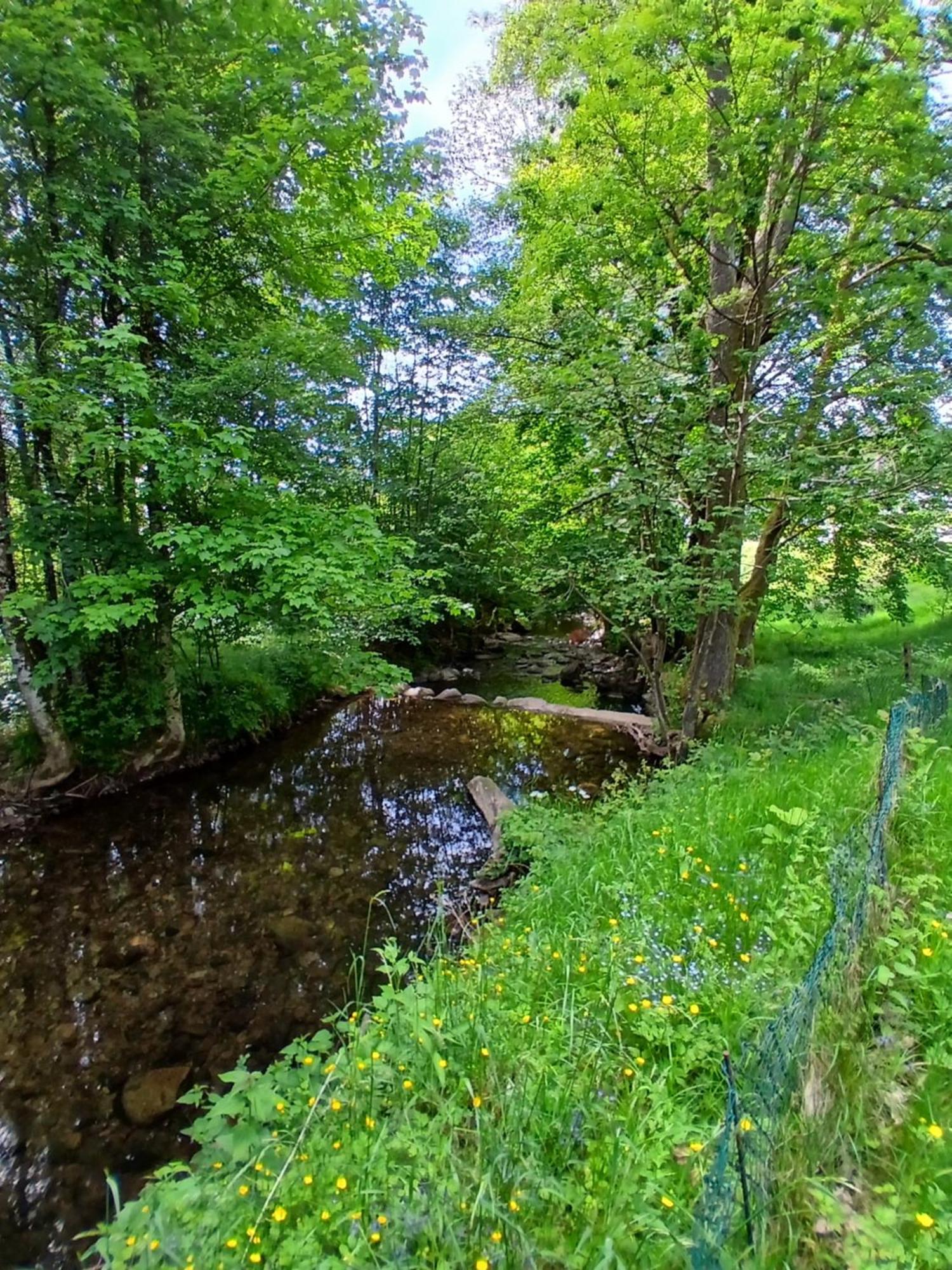 Gite De L'Ours Saint-Maurice-sur-Moselle Luaran gambar